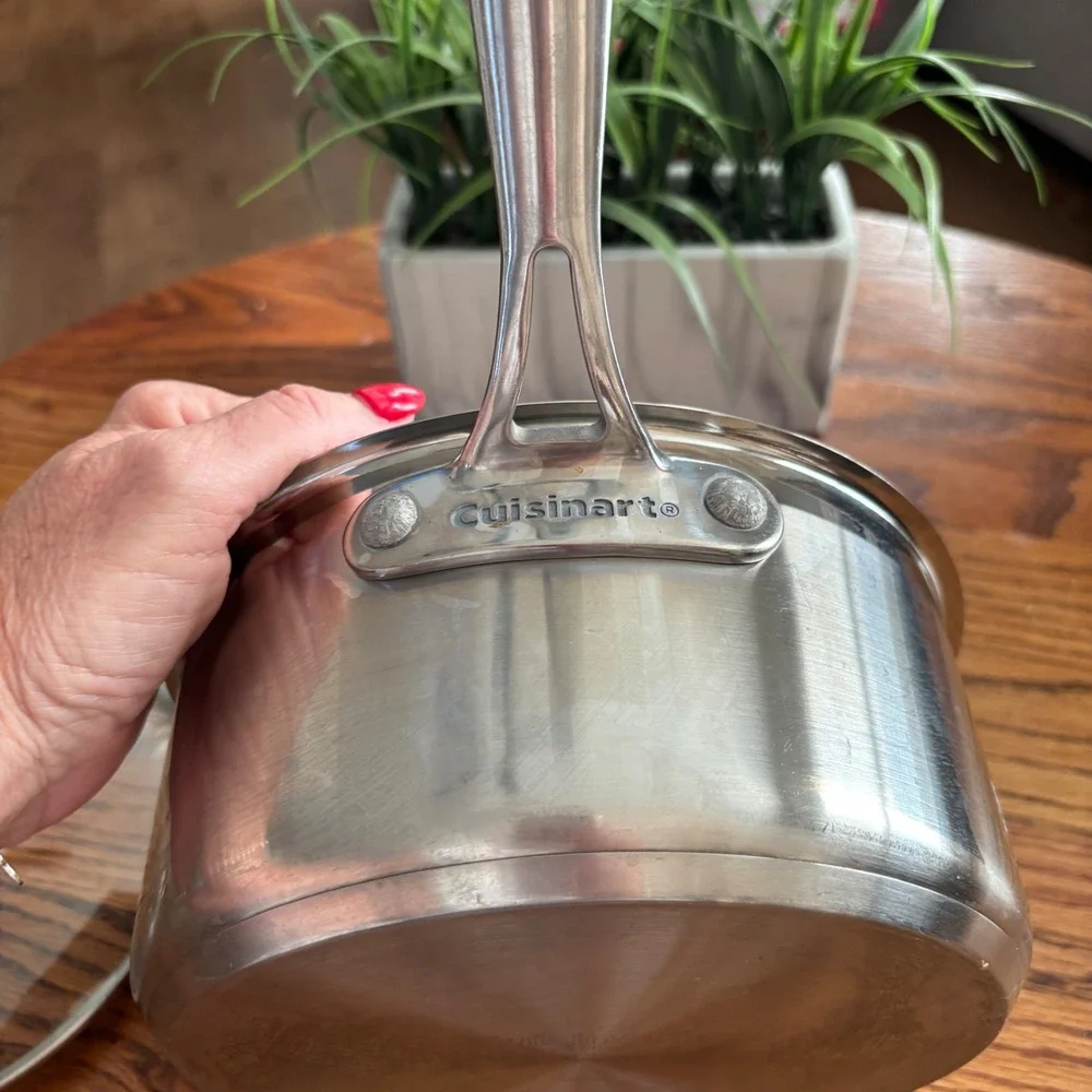 Cuisinart Stainless Steel Saucepan with Glass Lid Silver Professional Cookware